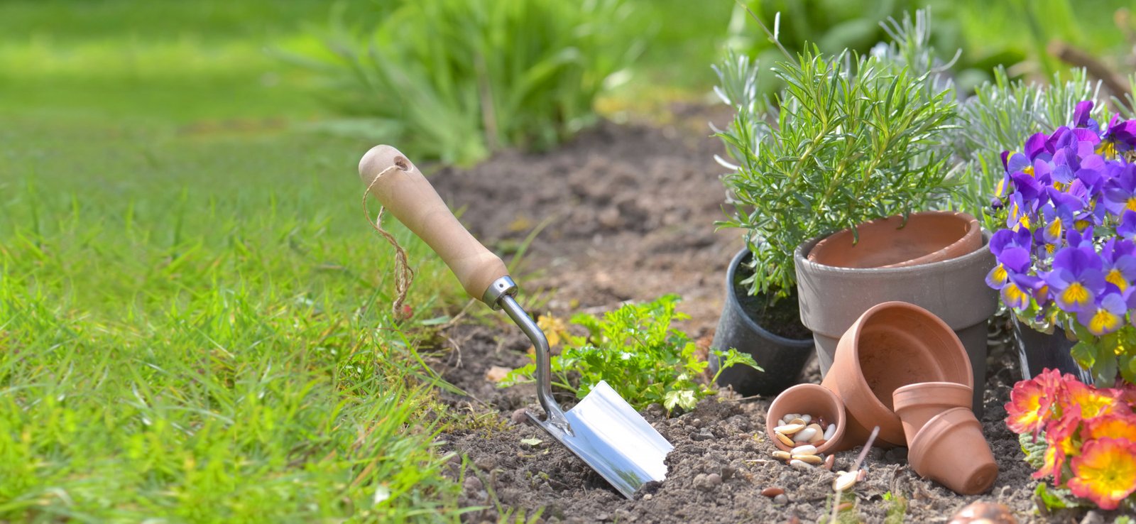 shovel-planted-soil-garden-flowerpots